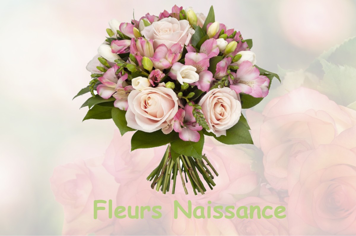 fleurs naissance CERNOY-EN-BERRY