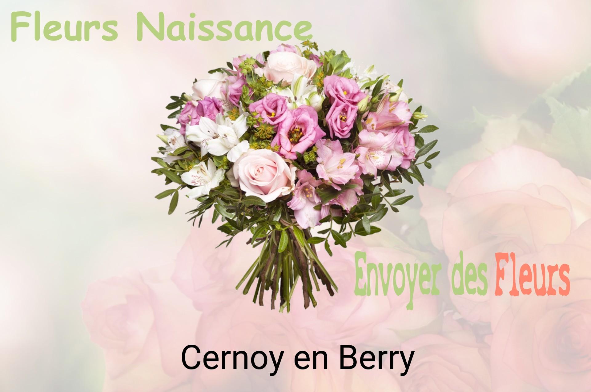Bouquet de fleurs de naissance livré à Cernoy-en-Berry