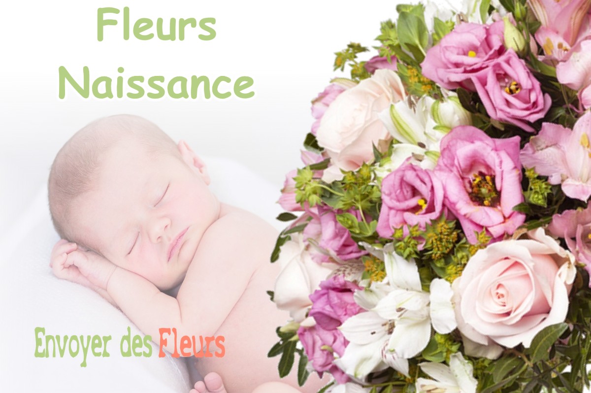 lIVRAISON FLEURS NAISSANCE à CERNOY-EN-BERRY